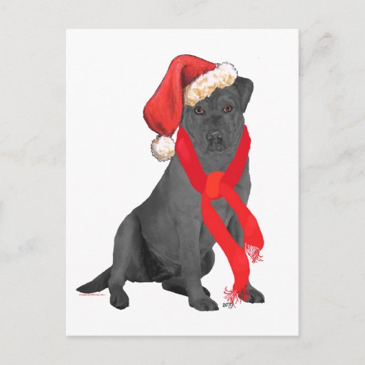 Black Labrador Retriever Feiertagspostkarte (Vorderseite)