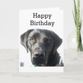 Black Labrador Retriever Happy Birthday Karte
