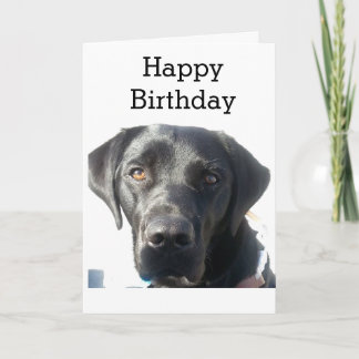 Black Labrador Retriever Happy Birthday Karte