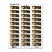 Black Labrador Retriever Hundeadresse (Vorne)