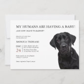 Black Labrador Retriever Kinderdusche Minimalistis Einladung (Vorderseite)