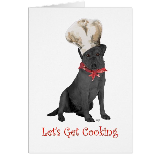 Black Labrador Retriever Koch (Vorne)
