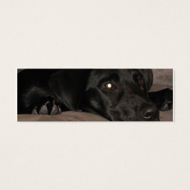 Black Labrador Retriever Lesezeichen (Vorderseite)
