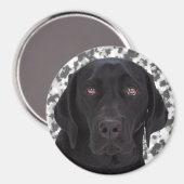 Black Labrador Retriever Magnet (Vorderseite/Rückseite)