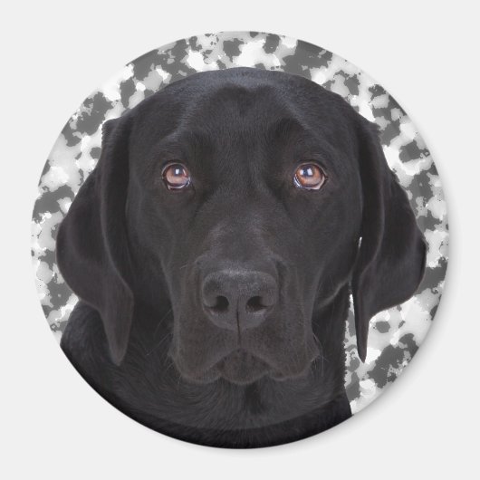 Black Labrador Retriever Magnet (Vorne)