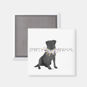 Black Labrador Retriever Magnet (Vorderseite/Rückseite)