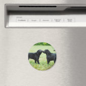 Black Labrador Retriever Magnet (In Situ (Geschirrspüler))