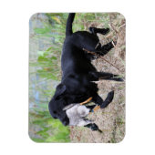 Black Labrador Retriever mit Entenmagnet Magnet (Vertikal)