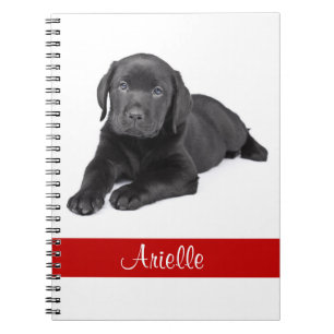 Black Labrador Retriever Personalisiertes Notebook Notizblock