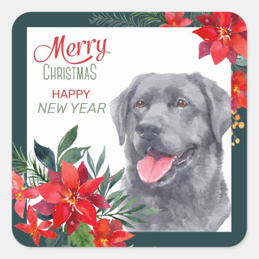 Black Labrador Retriever Poinsettia Bouquet Quadratischer Aufkleber (Vorderseite)