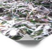 Black Labrador Retriever Poster (Ecke)