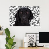 Black Labrador Retriever Poster (Heimbüro)