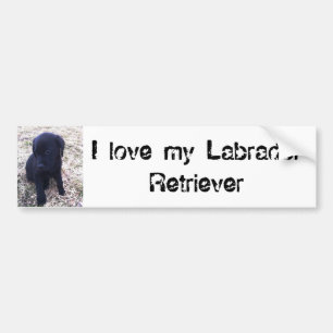 Black Labrador Retriever Puppy Autoaufkleber