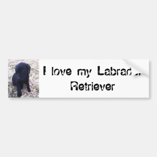 Black Labrador Retriever Puppy Autoaufkleber (Vorne)