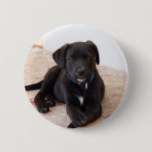 Black Labrador Retriever Puppy Button (Vorderseite)
