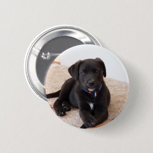 Black Labrador Retriever Puppy Button (Vorne & Hinten)