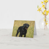 Black Labrador Retriever Puppy Doppy Blank Note Ca Karte (Gelbe Blume)
