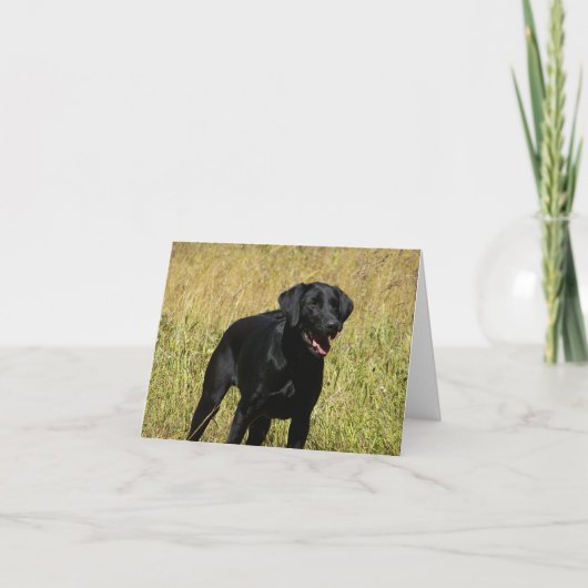 Black Labrador Retriever Puppy Doppy Blank Note Ca Karte (Vorderseite)