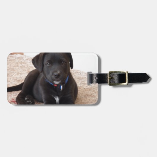 Black Labrador Retriever Puppy Gepäckanhänger (Vorderseite horizontal)