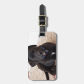 Black Labrador Retriever Puppy Gepäckanhänger (Vorderseite vertikal)
