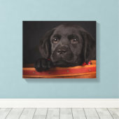 Black Labrador Retriever Puppy in Basketball Leinwanddruck (Insitu (Holzboden))