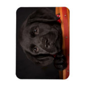 Black Labrador Retriever Puppy in Basketball Magnet (Vertikal)