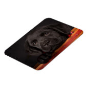 Black Labrador Retriever Puppy in Basketball Magnet (Linke Seite)