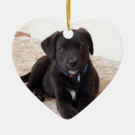 Black Labrador Retriever Puppy Keramik Ornament