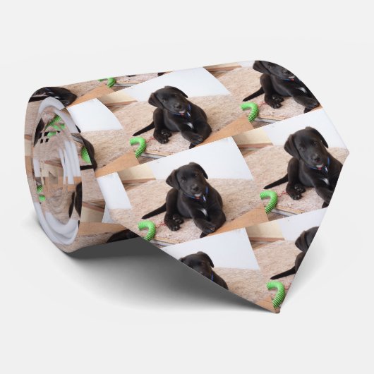 Black Labrador Retriever Puppy Krawatte (Gerollt)
