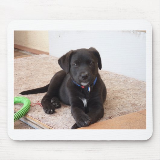 Black Labrador Retriever Puppy Mousepad (Vorne)