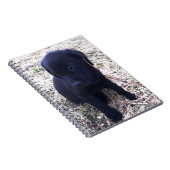 Black Labrador Retriever Puppy Notizblock (Rechte Seite)