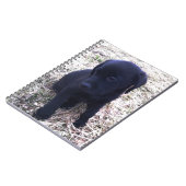Black Labrador Retriever Puppy Notizblock (Linke Seite)