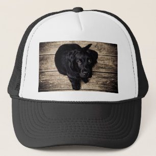 Black Labrador Retriever Puppy on Wood Truckerkappe