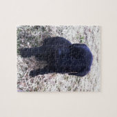 Black Labrador Retriever Puppy Puzzle (Horizontal)