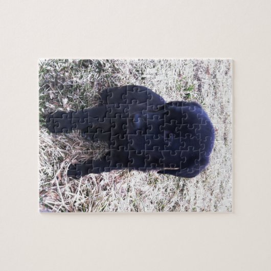 Black Labrador Retriever Puppy Puzzle (Horizontal)