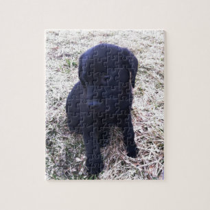 Black Labrador Retriever Puppy Puzzle
