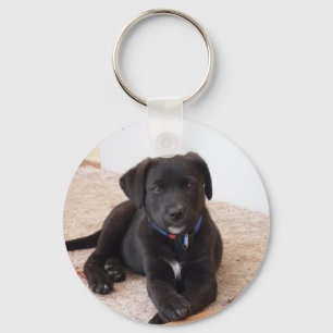 Black Labrador Retriever Puppy Schlüsselanhänger