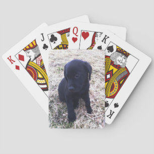 Black Labrador Retriever Puppy Spielkarten