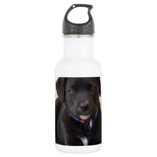 Black Labrador Retriever Puppy Trinkflasche (Vorderseite)