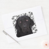 Black Labrador Retriever Quadratischer Aufkleber (Umschlag)