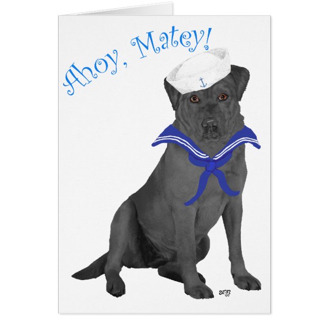 Black Labrador Retriever Sailor (Vorne)