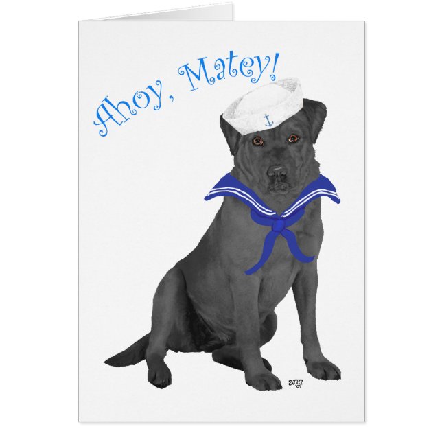 Black Labrador Retriever Sailor (Vorne)