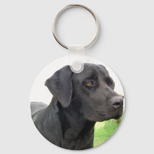 Black Labrador Retriever Schlüsselanhänger (Vorderseite)