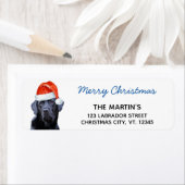 Black Labrador Retriever Weihnachten Niedlicher We (Insitu)