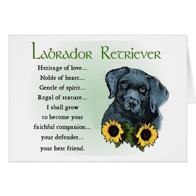 Black Labrador Retriever Welpengeschenke (Vorderseite (Horizontal))