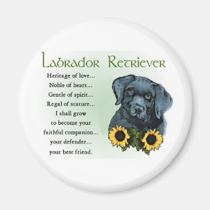 Black Labrador Retriever Welpengeschenke Magnet