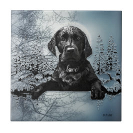 Black Labrador Retriever Welppy T - Shirt Throw Pi Fliese