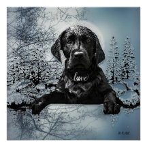 Black Labrador Retriever Welppy T - Shirt Throw Pi