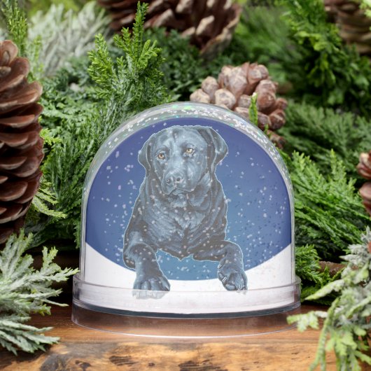 Black Labrador Snow Globe Custom Dog Snow Globe Schneekugeln (Winter)