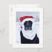 Black Labrador Snowflakes Weihnachtskarten Feiertagspostkarte (Vorne/Hinten)